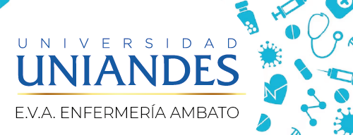 Entorno Virtual de Aprendizaje Enfermería UNIANDES Ambato