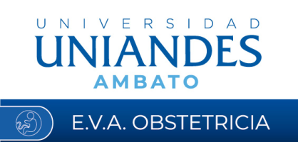 Entorno Virtual de Aprendizaje Obstetricia UNIANDES Ambato