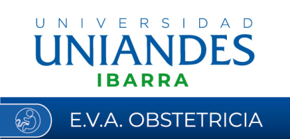 Entorno Virtual de Aprendizaje Obstetricia UNIANDES Ibarra